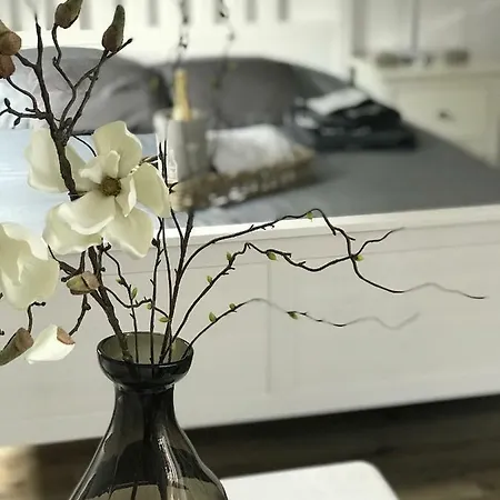 Altstadtperle Apartment Hamelin